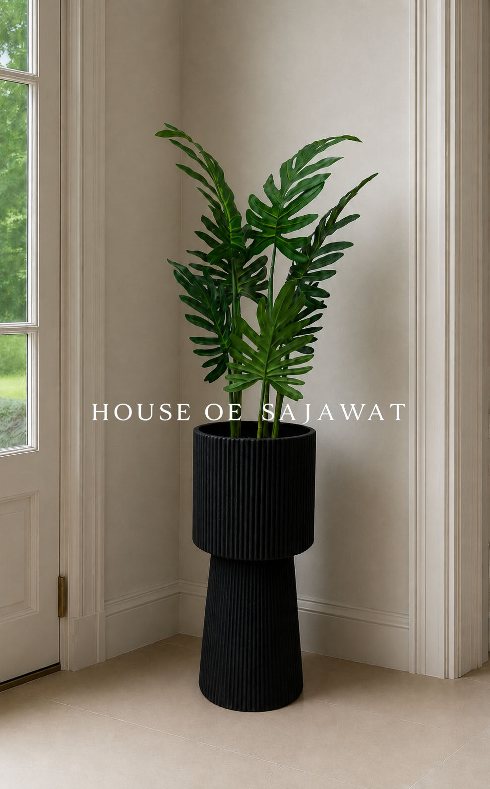 (PA109) Swiss Cheese Plant With Planter